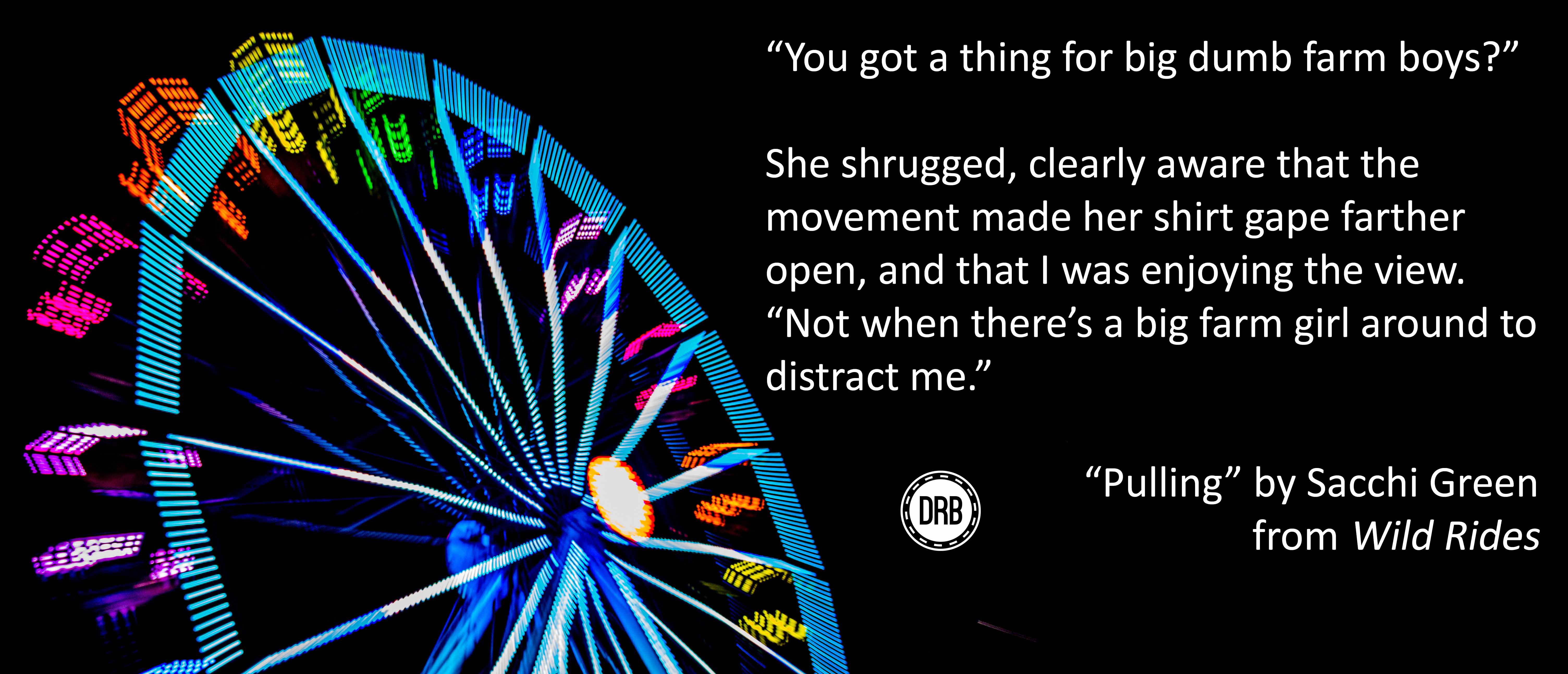 Wild Rides promo.2.2 (1)